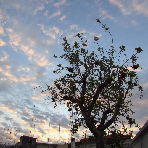 B&B La Muraglia image 21