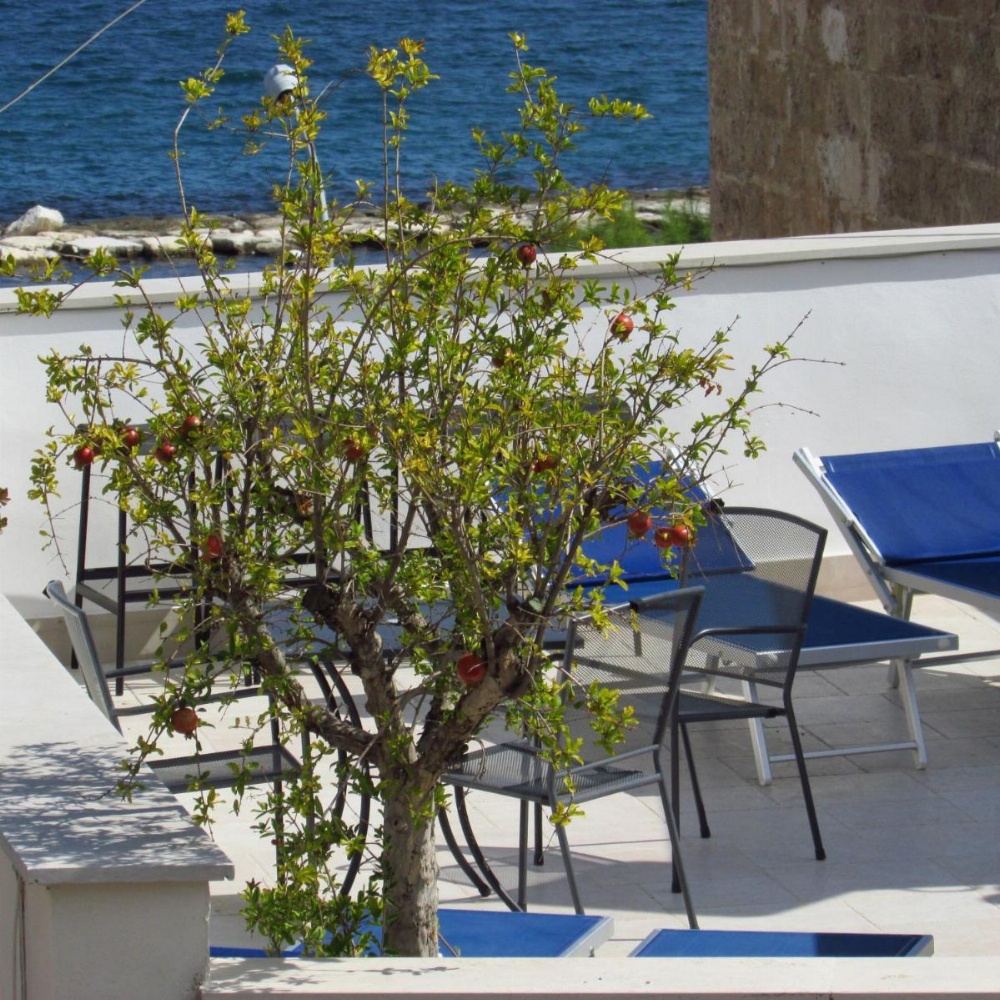 B&B La Muraglia Image 22