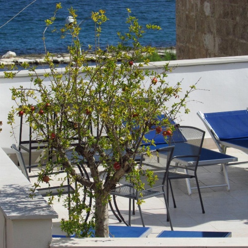 B&B La Muraglia image 22